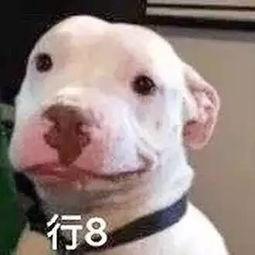 娱乐圈吃瓜微信公众号